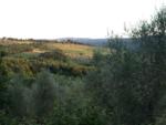 tuscany11-008
